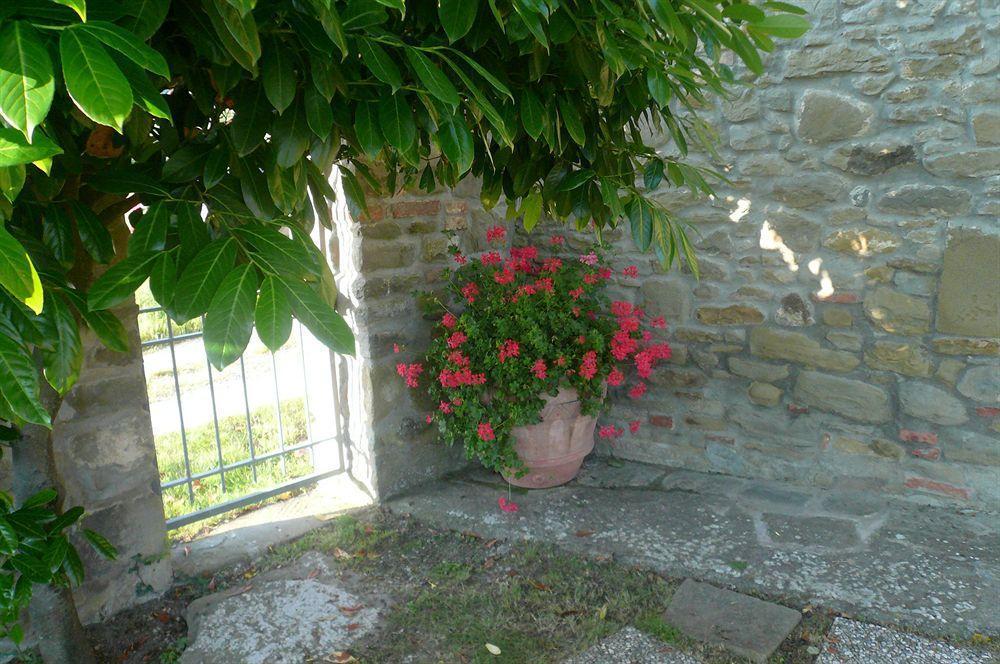 Apartmán Il Gelso Cortona Exteriér fotografie